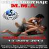 Árbitro Regional MMA
